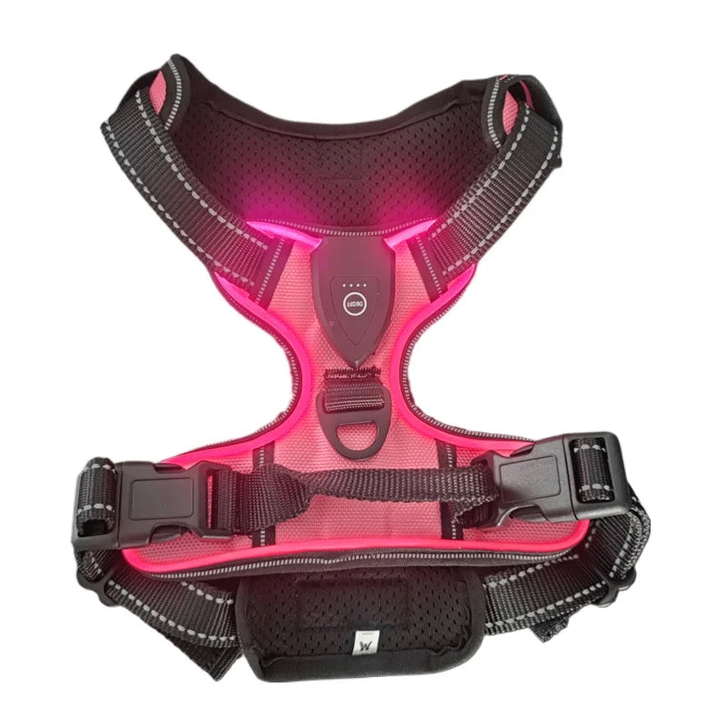 Harnais Anti-Traction LED pour Chien