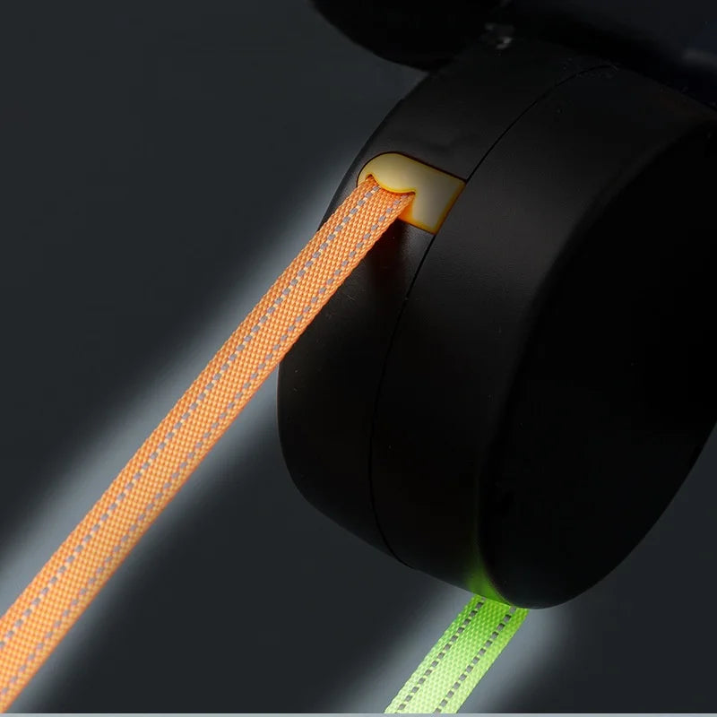 Laisse à Enrouleur Automatique avec LED Intégrée