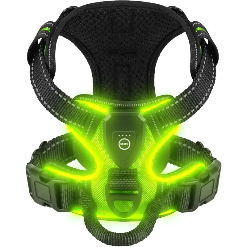 Harnais Anti-Traction LED pour Chien