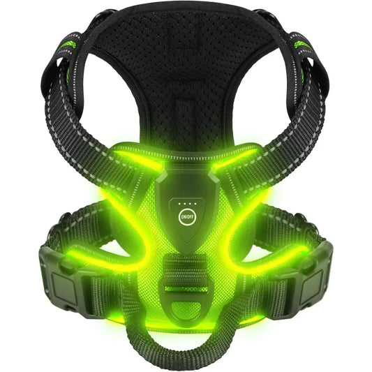 Harnais Anti-Traction LED pour Chien